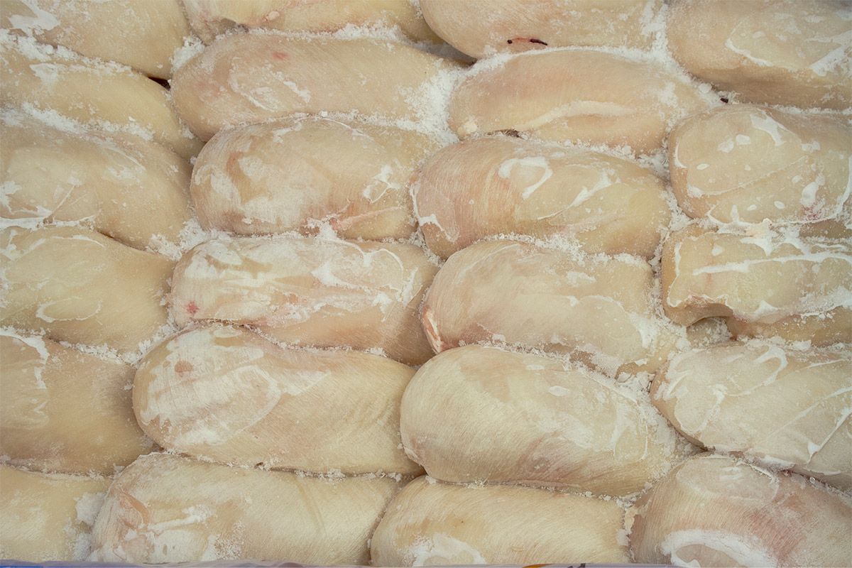 RECORTE DE PECHUGA 10 KILOS POLIBLOCK 1 RECORTE DE PECHUGA 10 KILOS POLIBLOCK